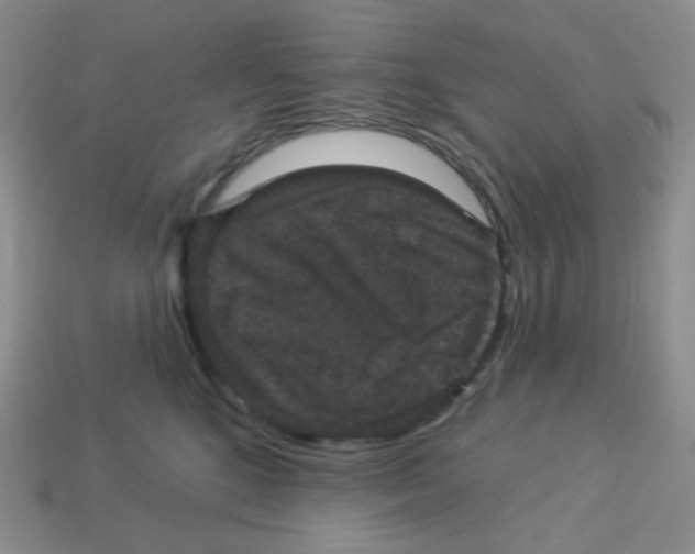 X0000113280520200910131007