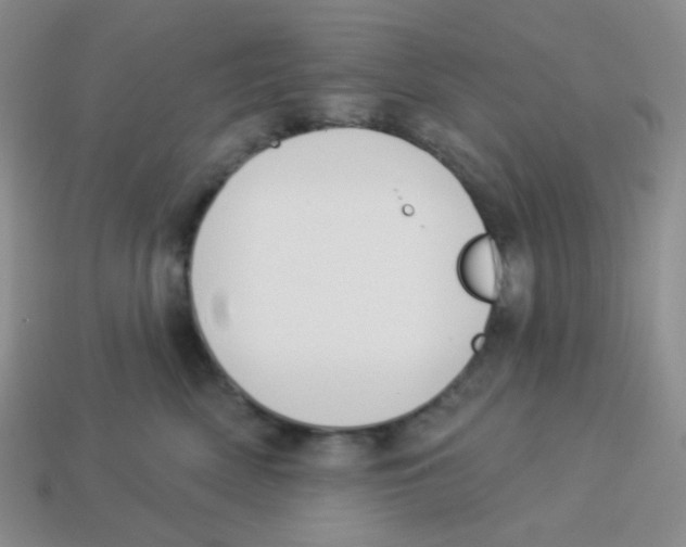 X0000113280522200910131007