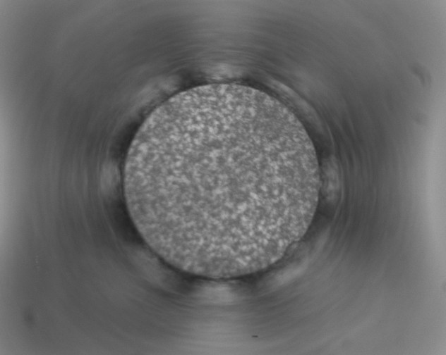 X0000113280523200910131007