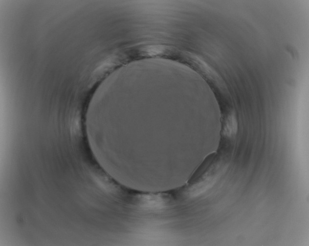 X0000113280524200910131007