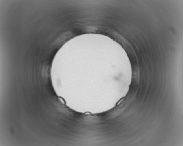 X0000113280525200910131007