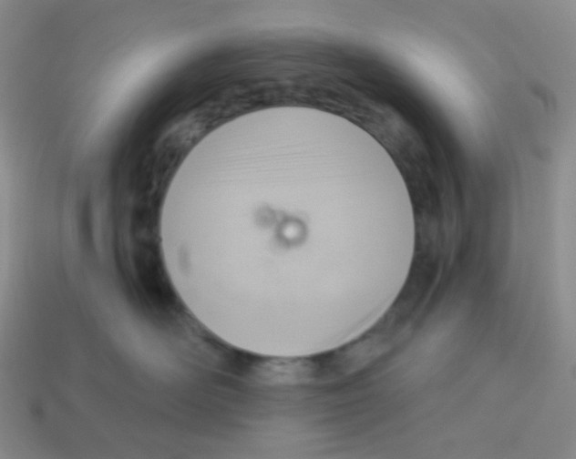 X0000113280526200910131007