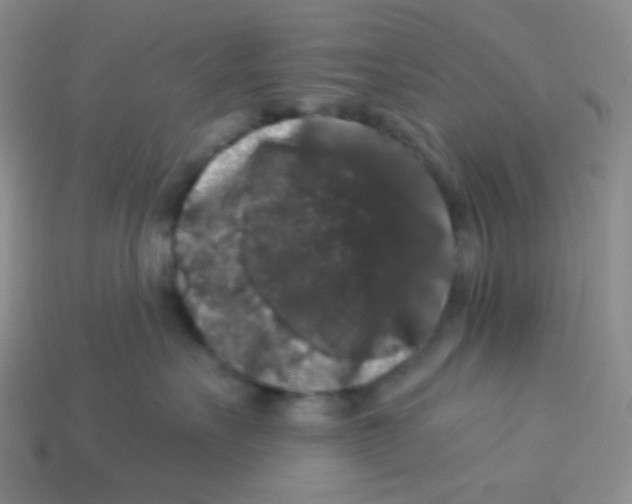 X0000113280527200910131007