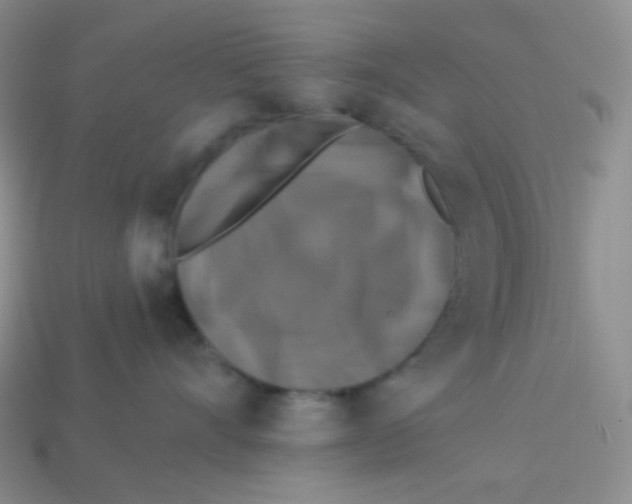 X0000113280528200910131007