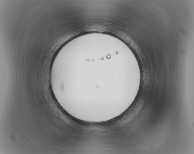 X0000113280529200910131007