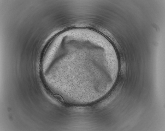 X0000113280530200910131007