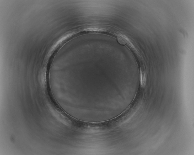X0000113280531200910131007