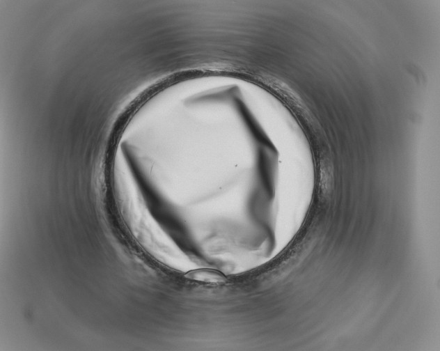 X0000113280532200910131007