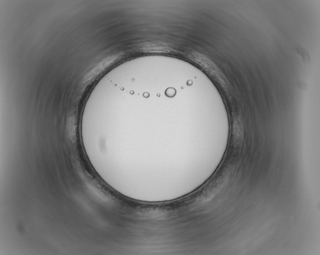 X0000113280533200910131007