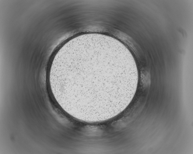 X0000113280534200910131007