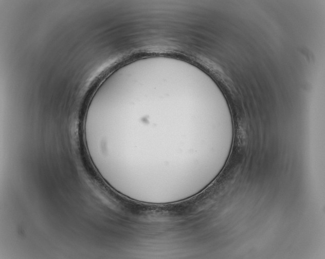 X0000113280535200910131007