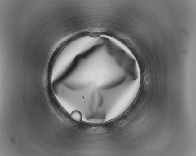 X0000113280536200910131007