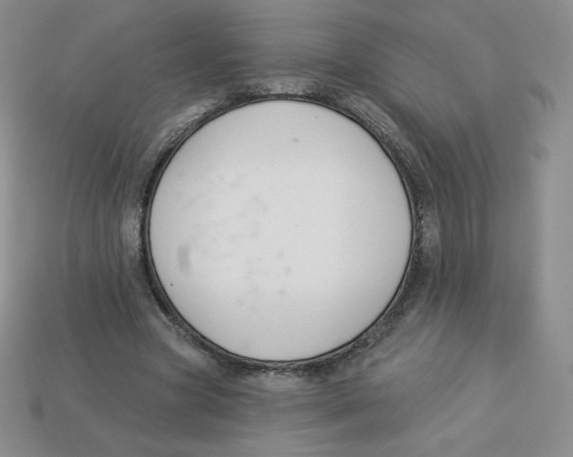 X0000113280537200910131007