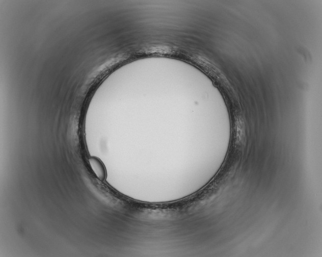 X0000113280538200910131007