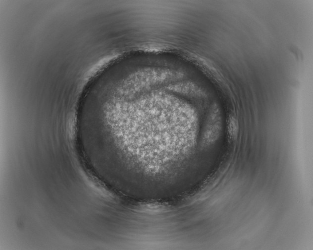 X0000113280540200910131007