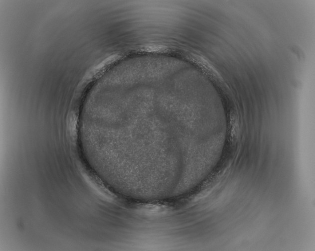 X0000113280542200910131007