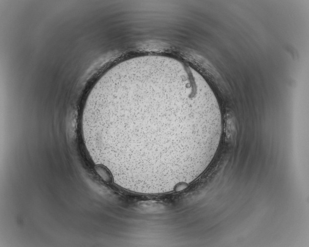 X0000113280544200910131007