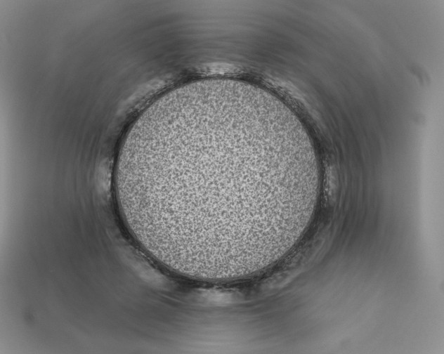 X0000113280545200910131007