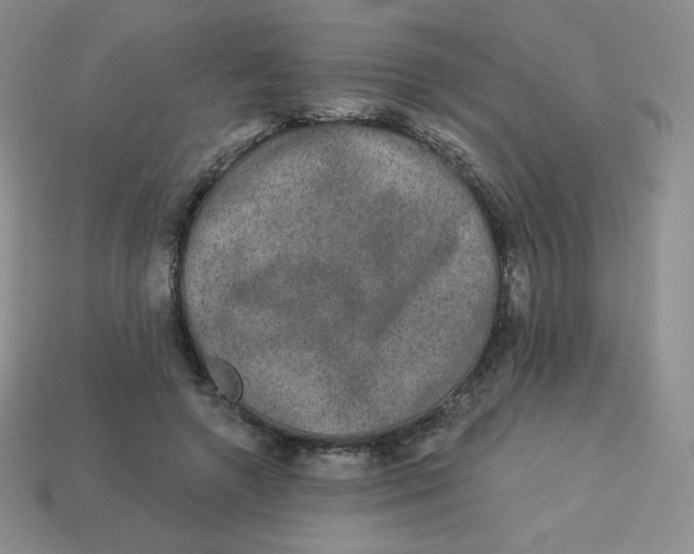 X0000113280546200910131007
