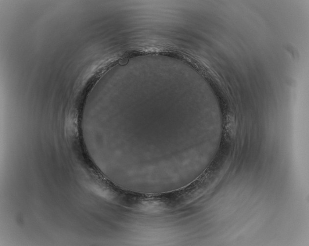 X0000113280547200910131007