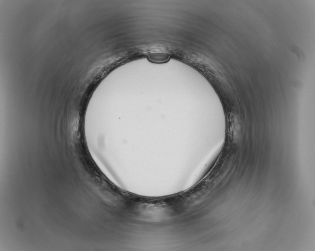 X0000113280548200910131007