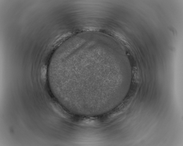 X0000113280550200910131007
