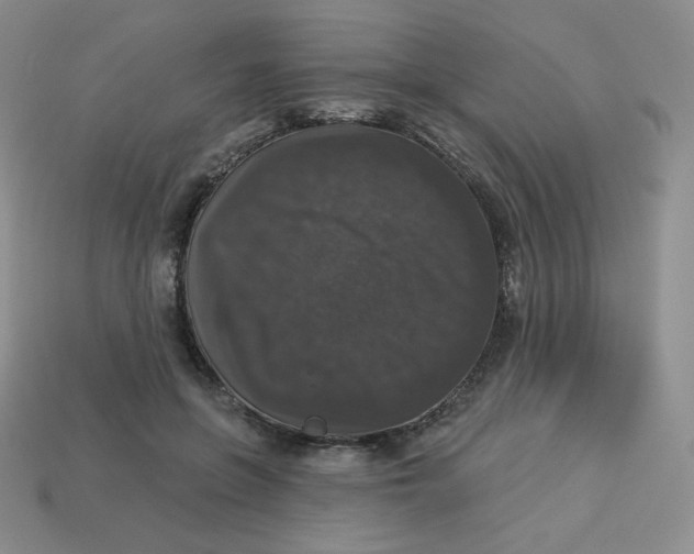 X0000113280551200910131007