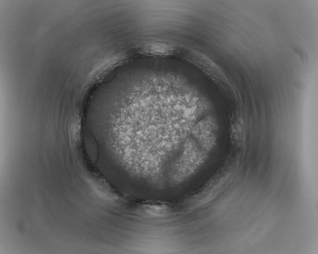 X0000113280552200910131007