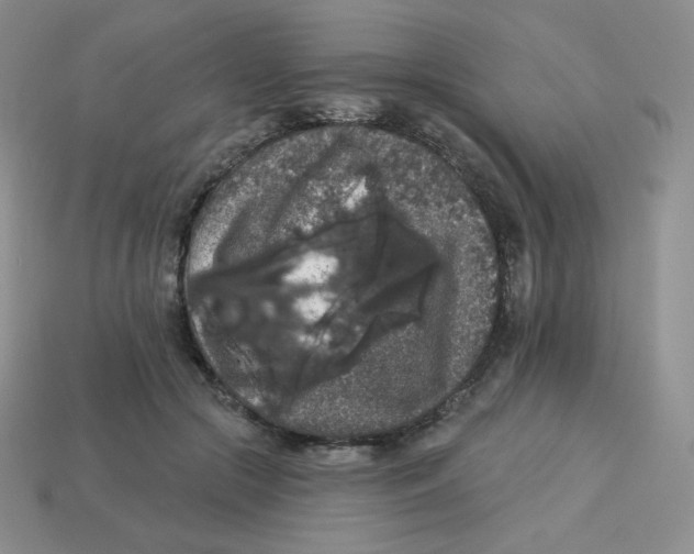 X0000113280553200910131007
