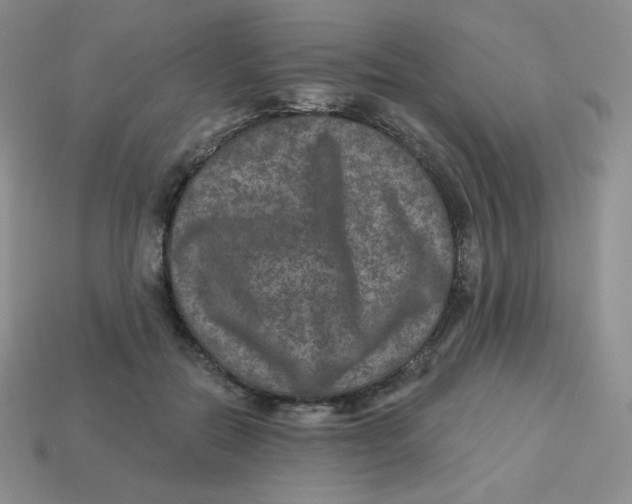 X0000113280554200910131007