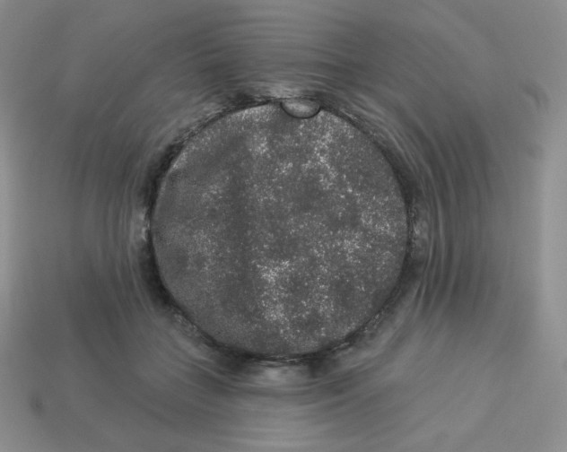 X0000113280555200910131007