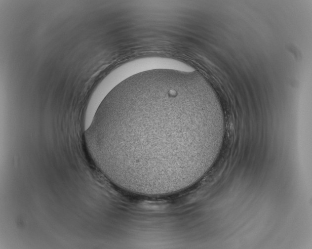 X0000113280556200910131007
