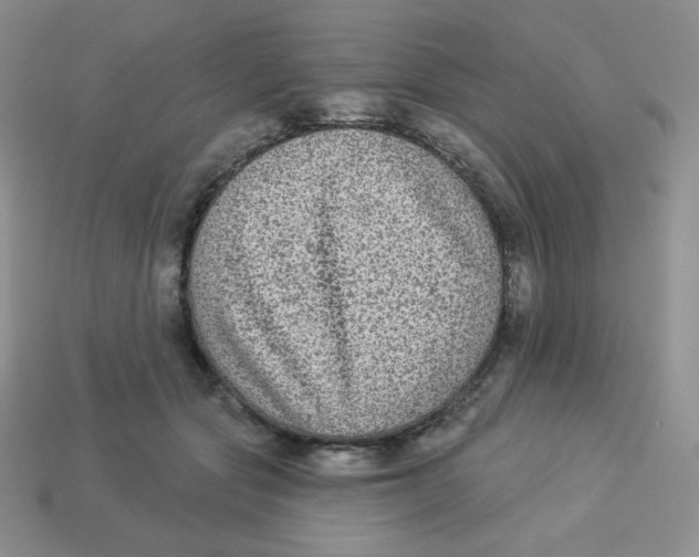 X0000113280557200910131007