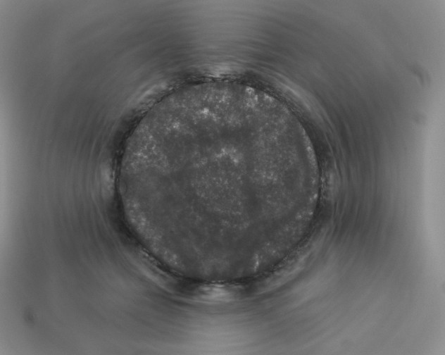 X0000113280558200910131007