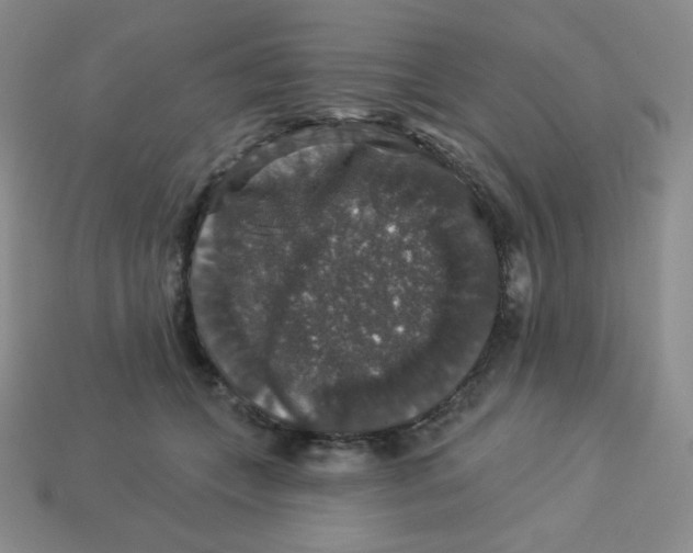 X0000113280559200910131007