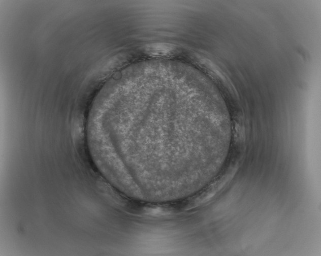 X0000113280561200910131007