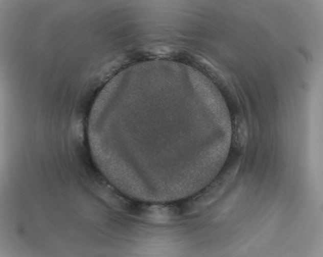 X0000113280562200910131007