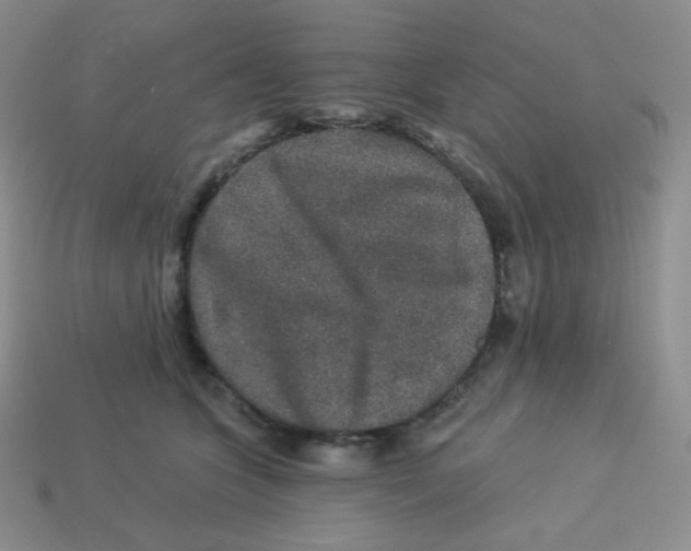 X0000113280563200910131007