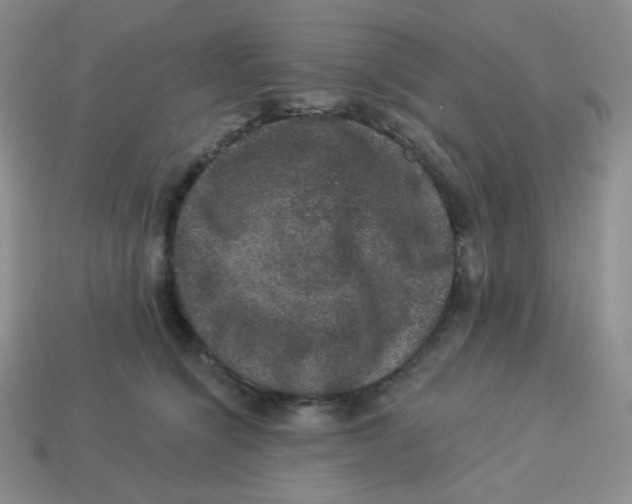 X0000113280564200910131007