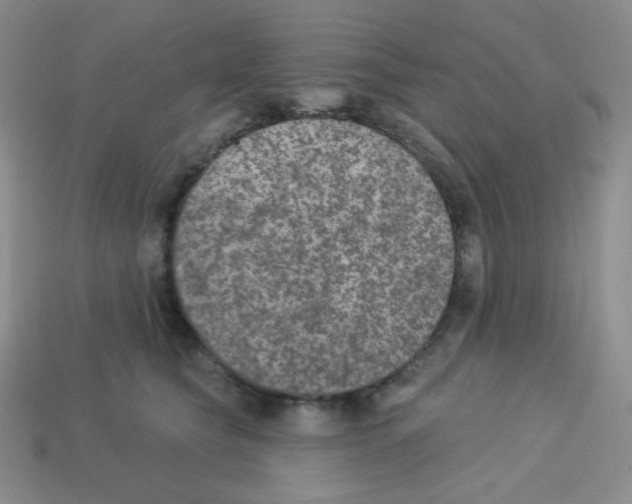 X0000113280565200910131007