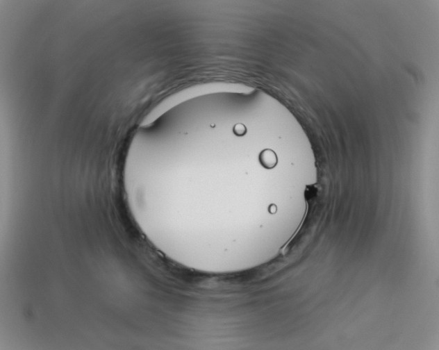 X0000113280568200910131007