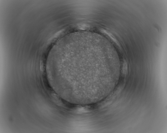 X0000113280569200910131007