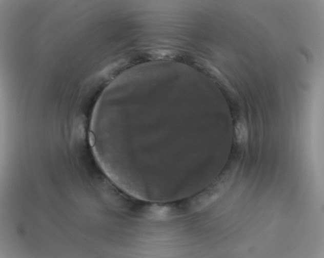 X0000113280570200910131007