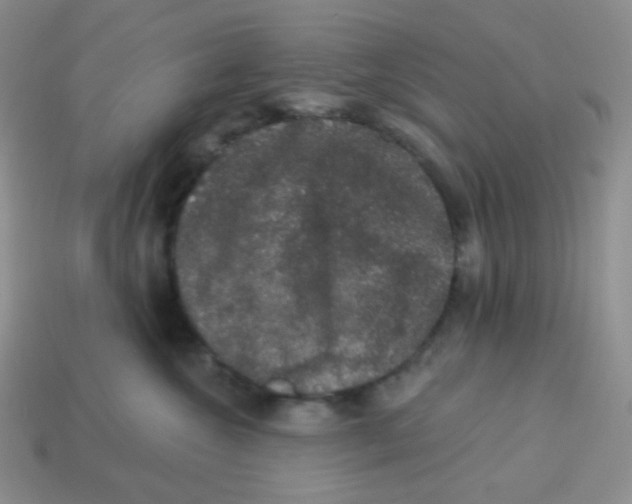 X0000113280572200910131007