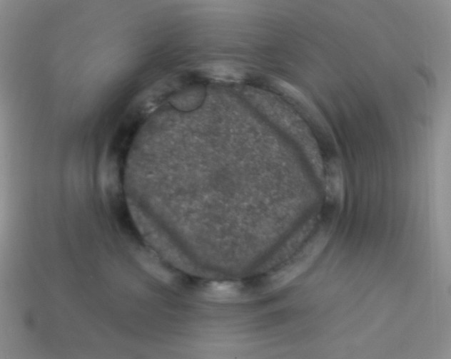 X0000113280573200910131007