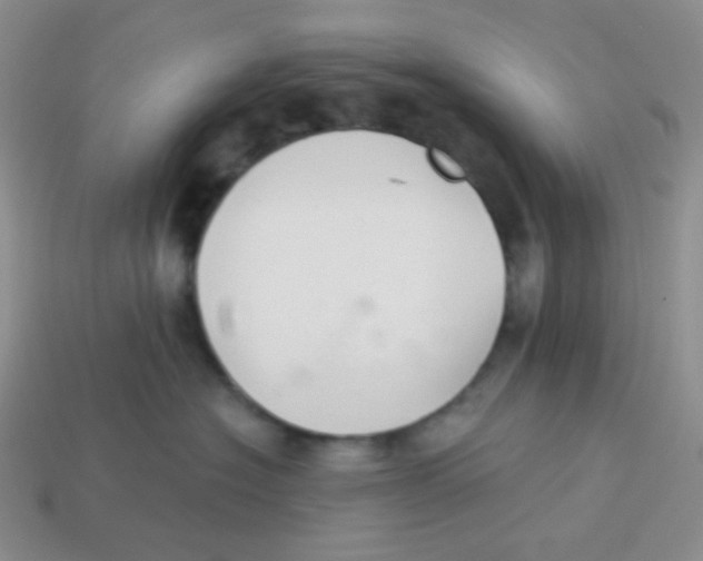 X0000113280574200910131007