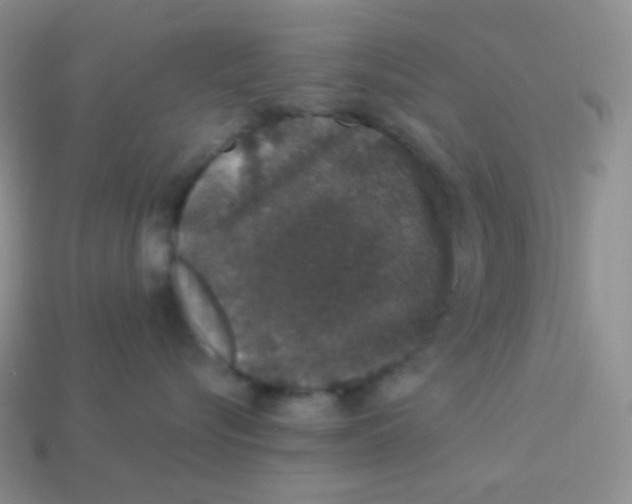 X0000113280576200910131007