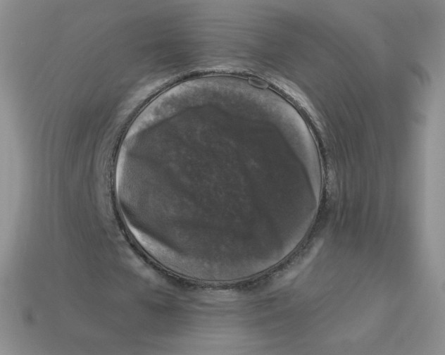 X0000113280577200910131007