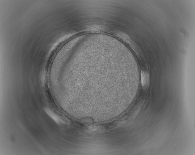 X0000113280579200910131007