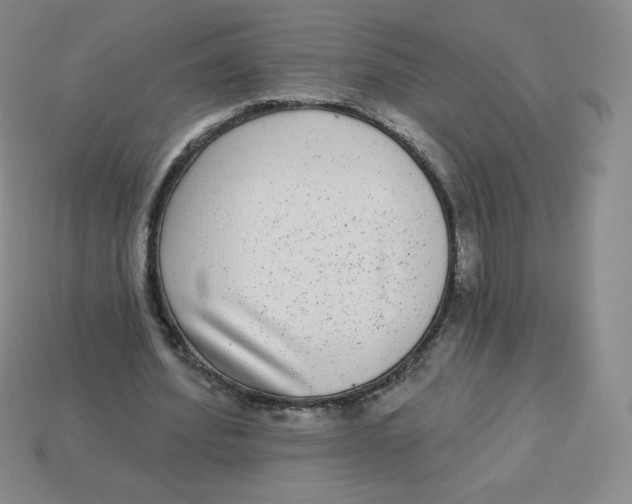 X0000113280580200910131007
